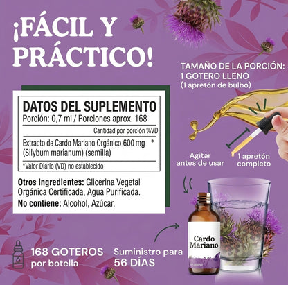 Cardo Mariano y Limpieza Hepática en GOTAS